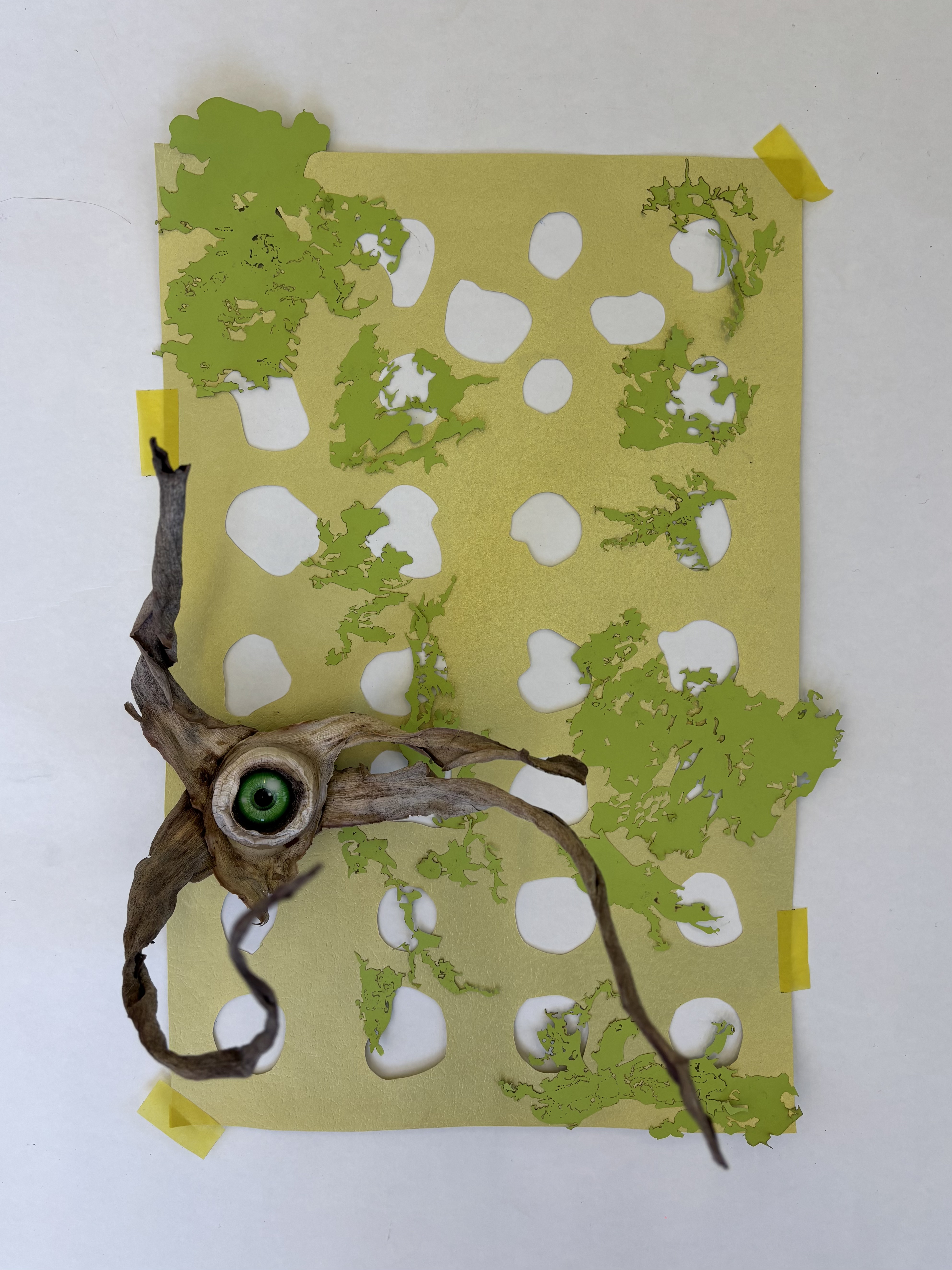 Aloe Eye I by Gabriella Tobler