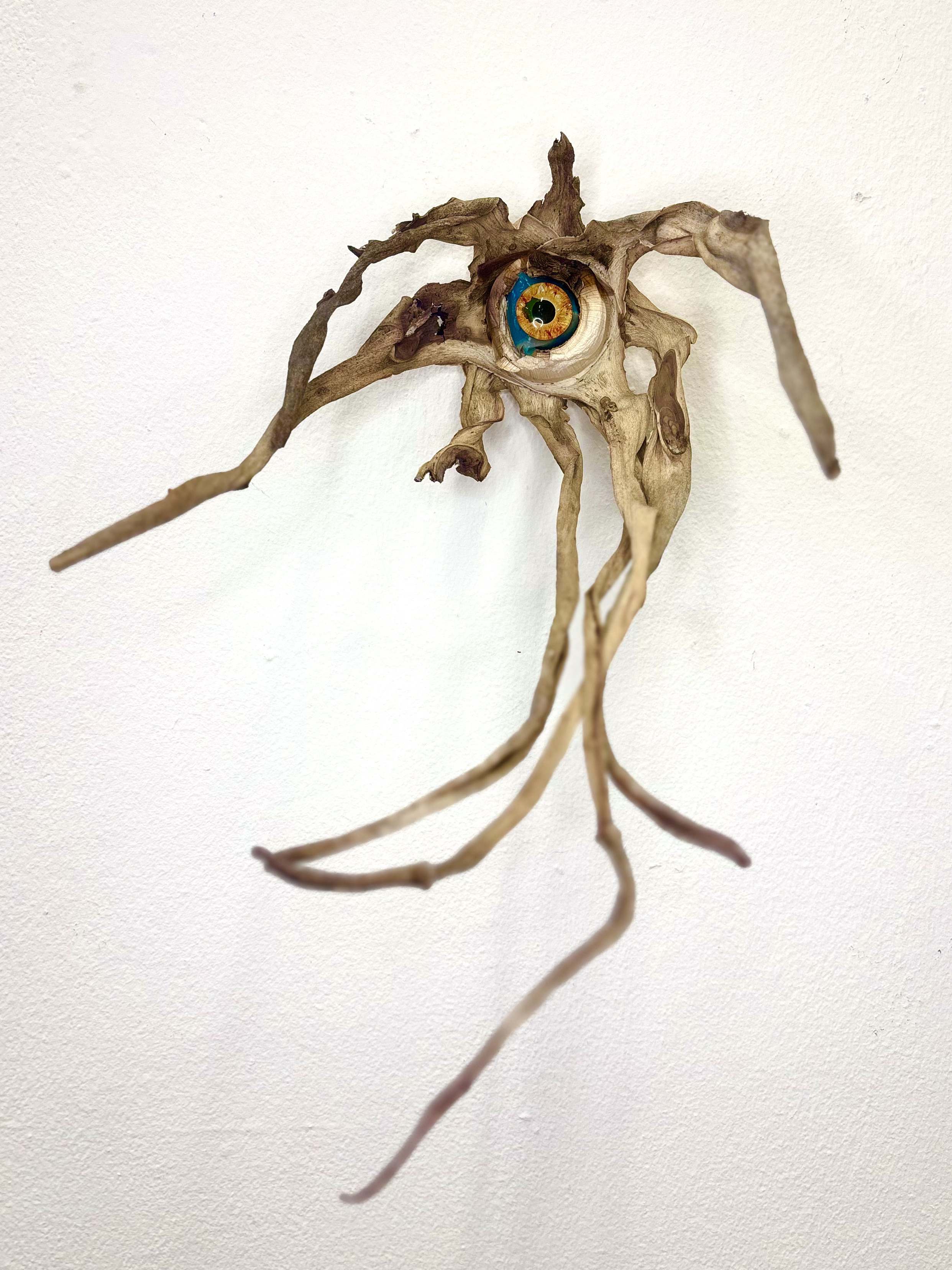 Aloe Eye II by Gabriella Tobler