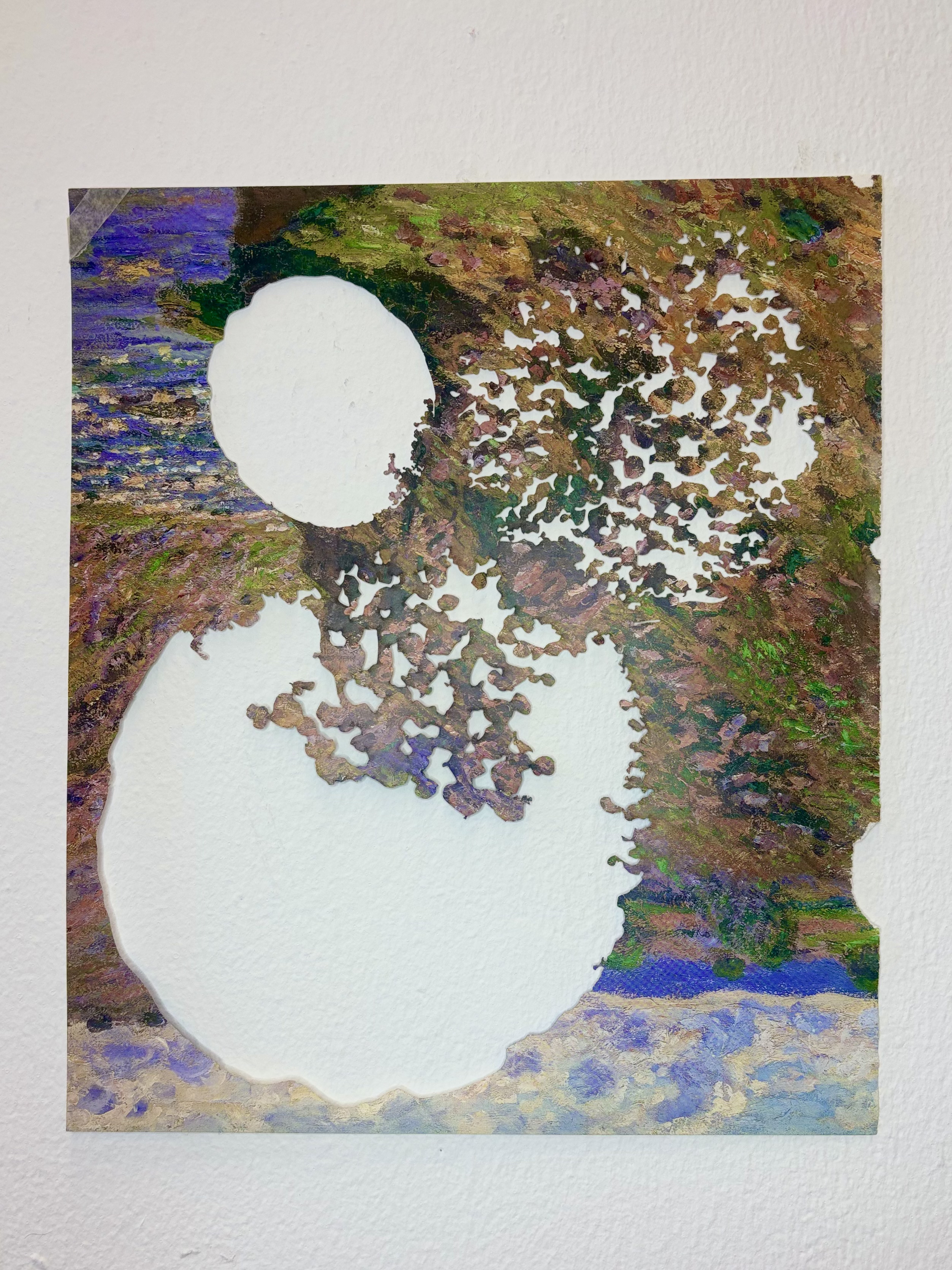 Operculum I by Gabriella Tobler