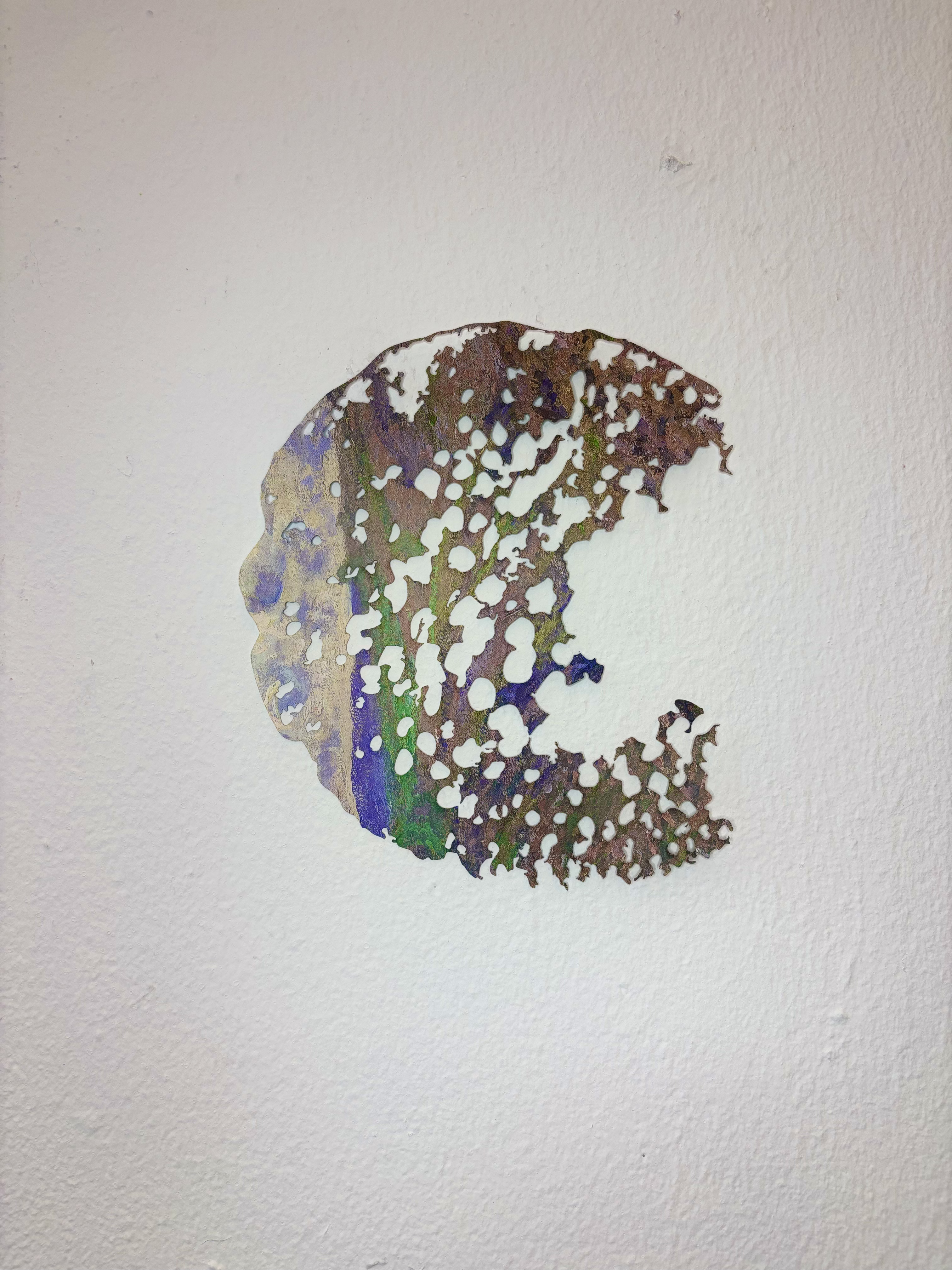 Operculum II (Cutout) by Gabriella Tobler