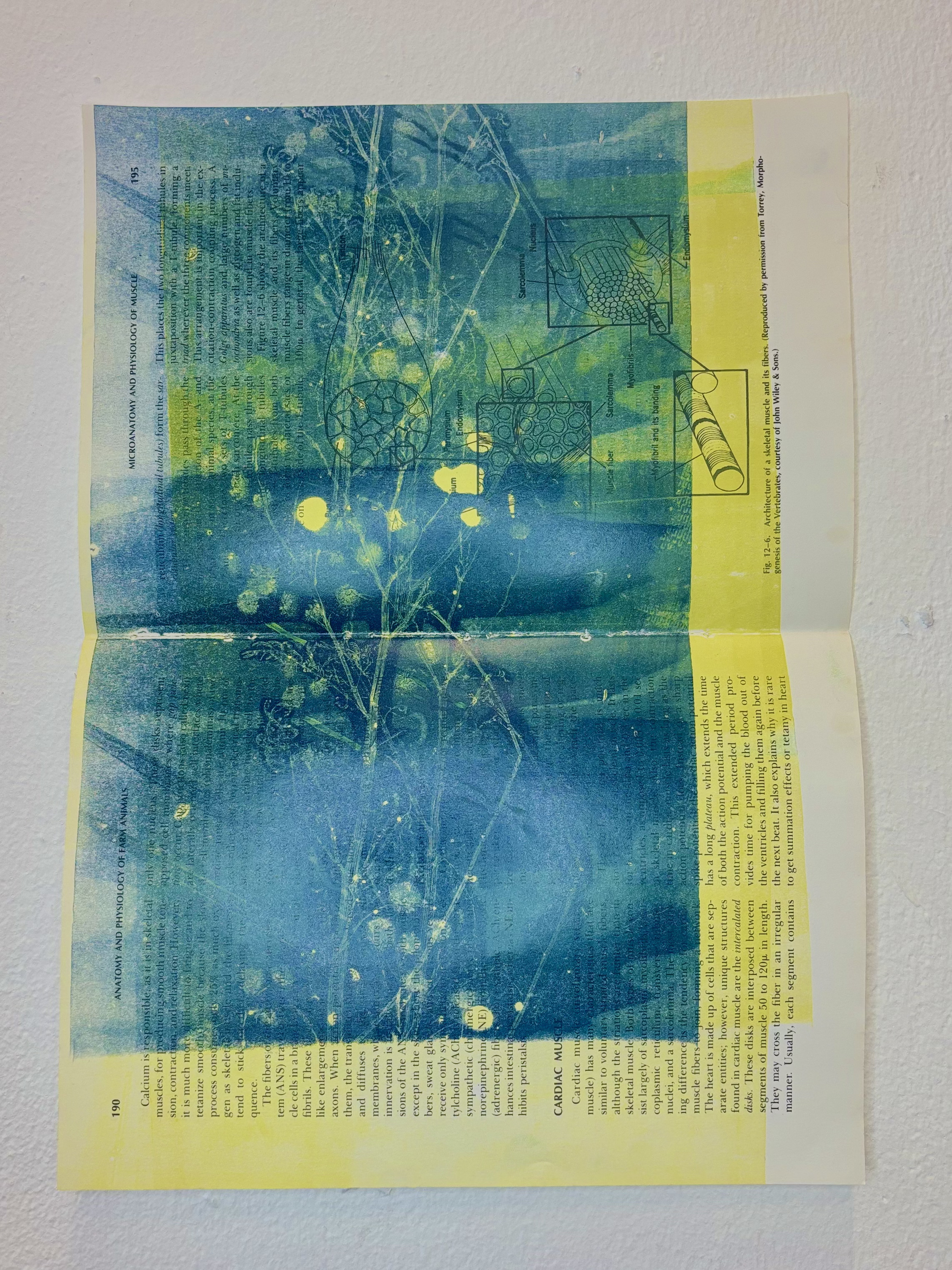 Invasive by Gabriella Tobler