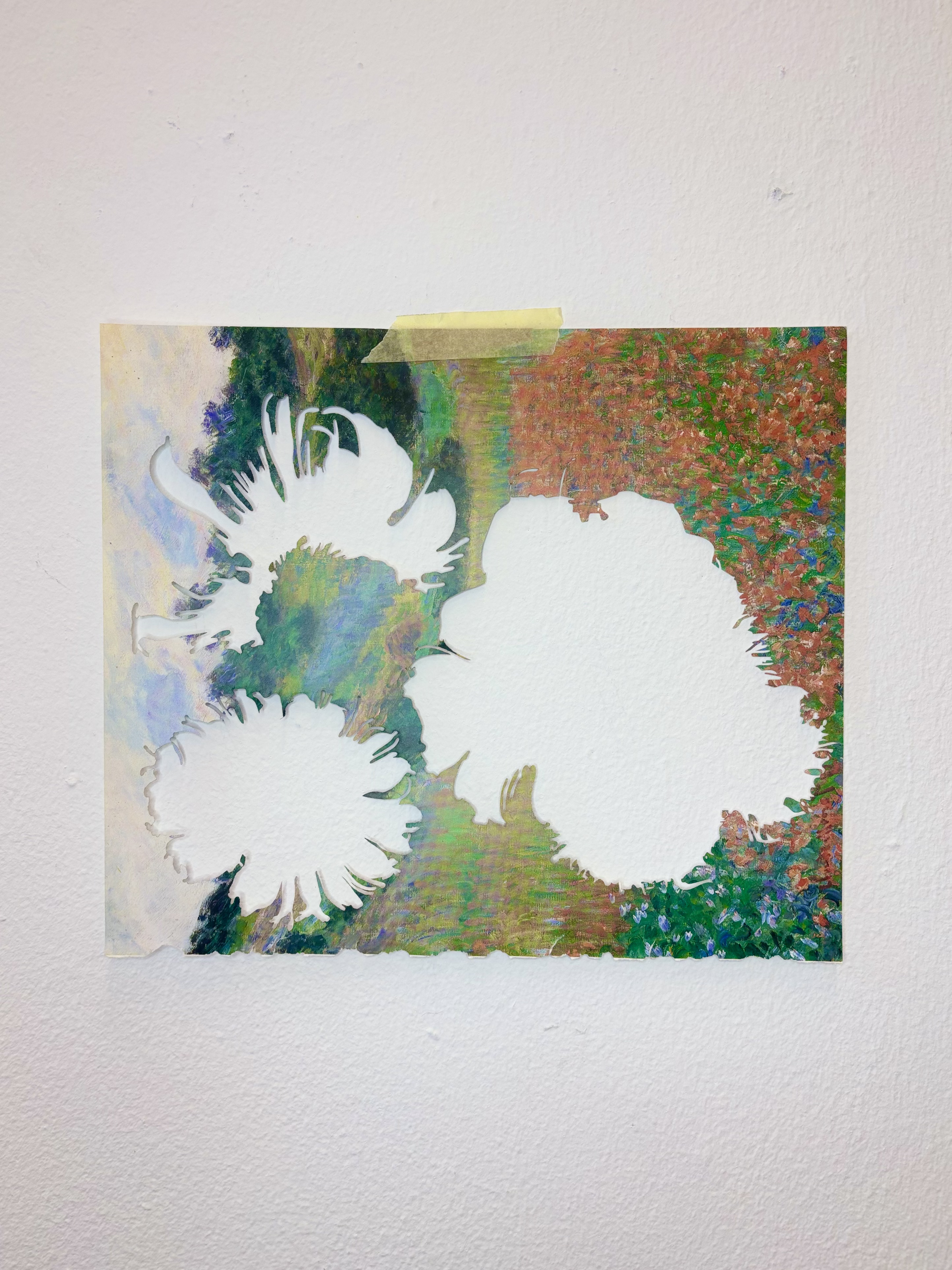 Chasmanthe Husk Cut Out by Gabriella Tobler