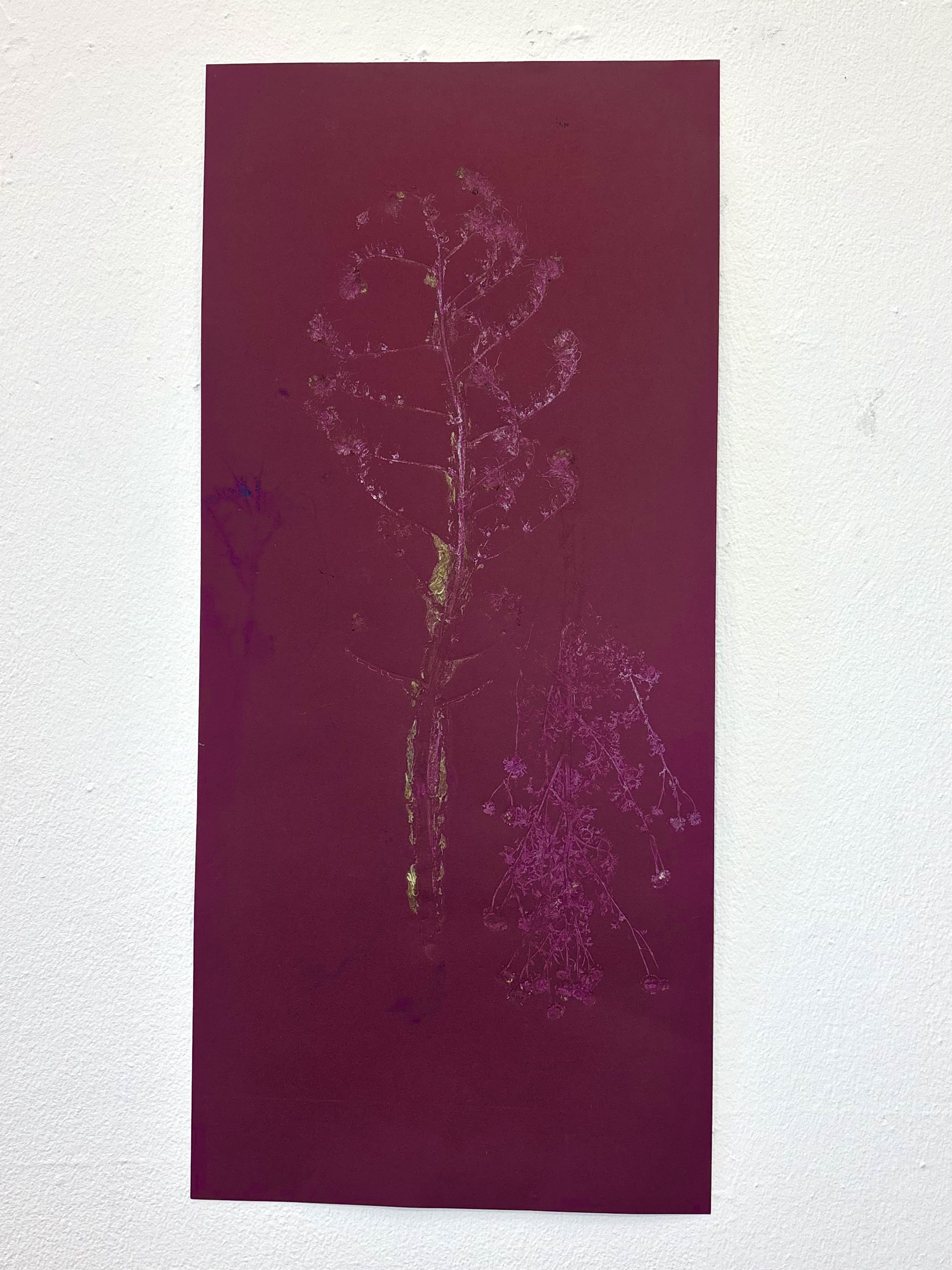 Untitled (Burgundy) by Gabriella Tobler
