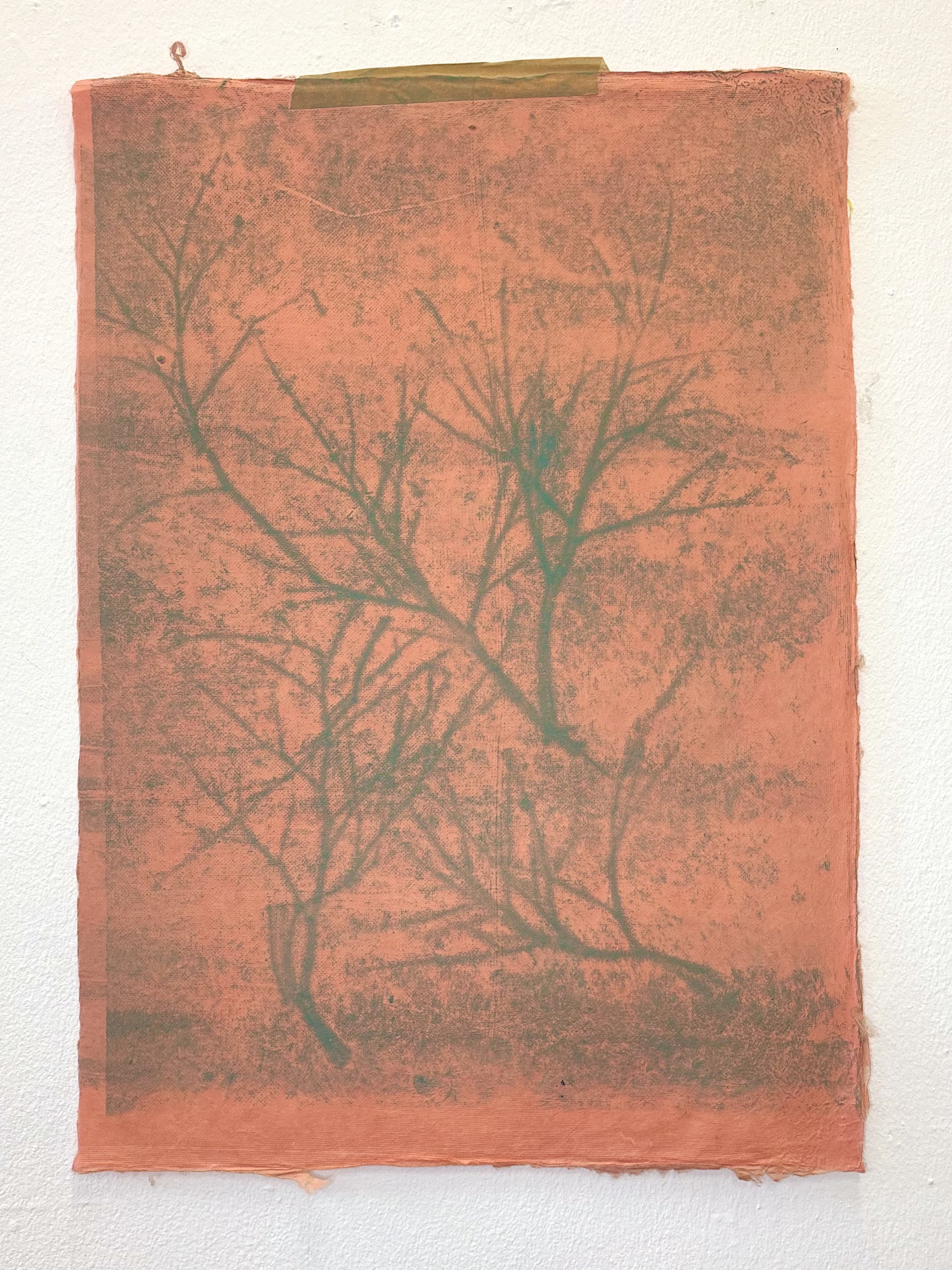 Zizania I by Gabriella Tobler