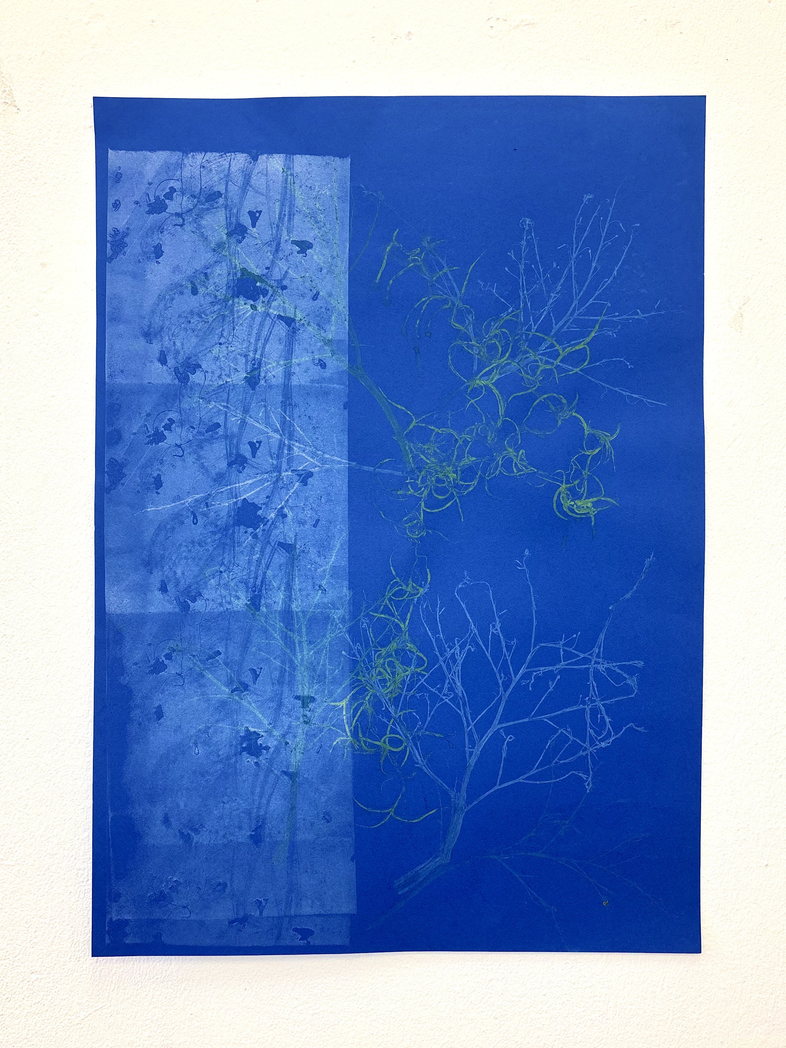 Zizania III (Tests) by Gabriella Tobler