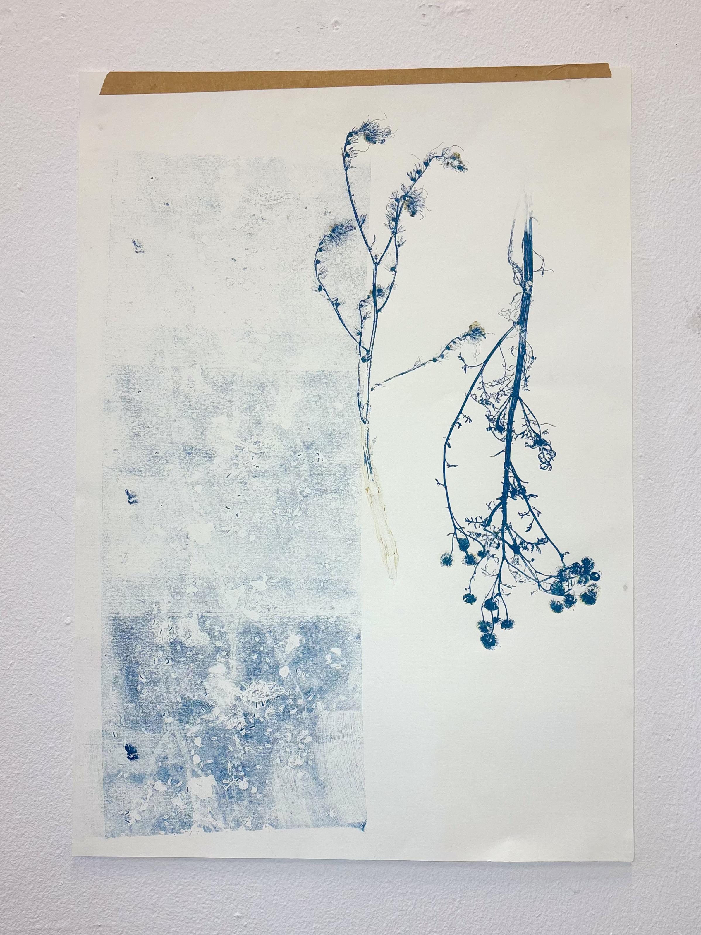 Situ by Gabriella Tobler