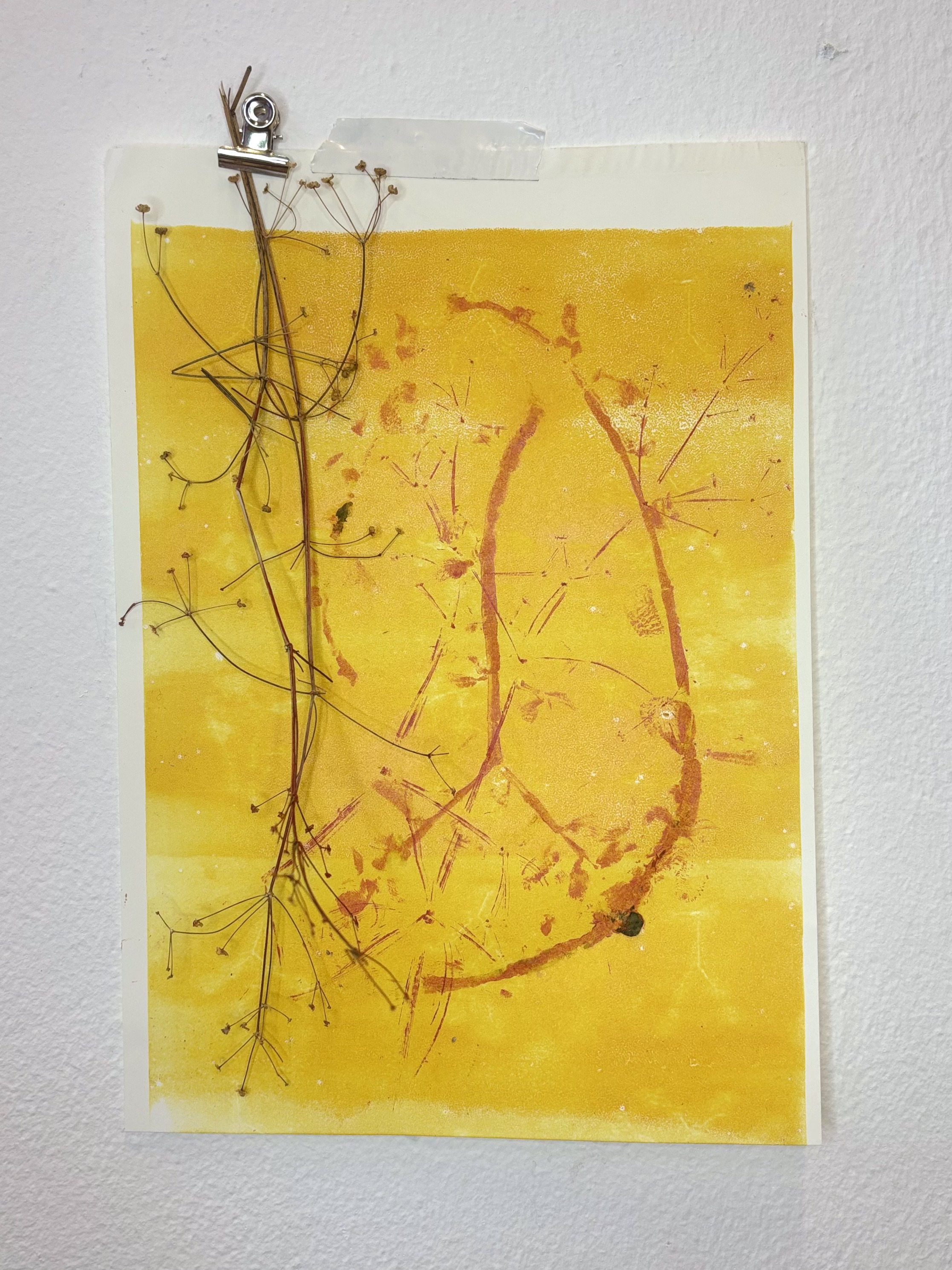 Zizania Shadow by Gabriella Tobler