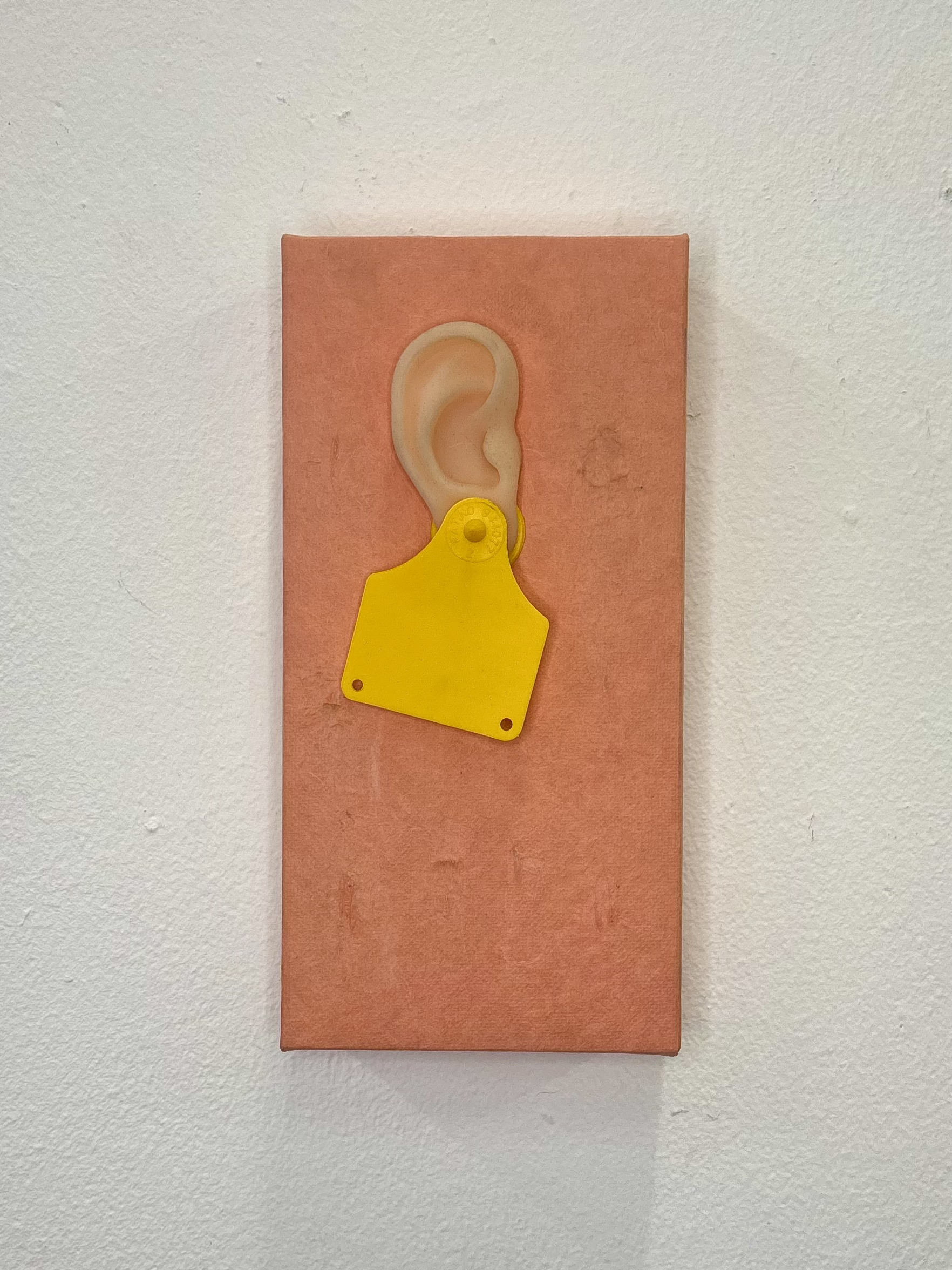 I Got My Ears Pierced at 13 by Gabriella Tobler