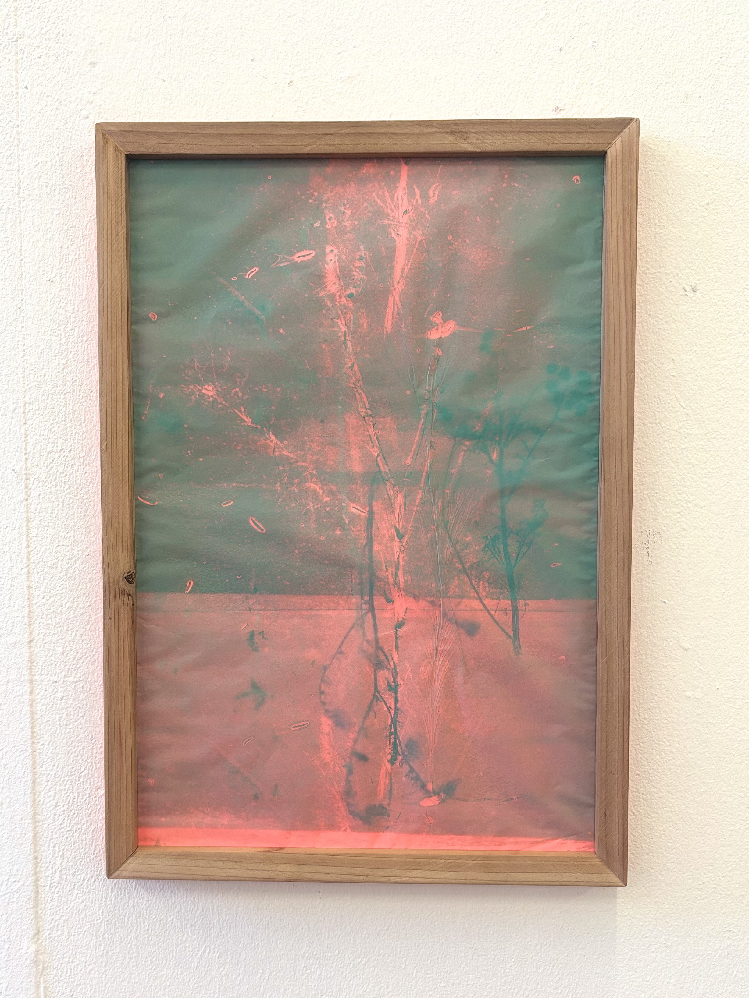 Hiding in Plain Sight by Gabriella Tobler