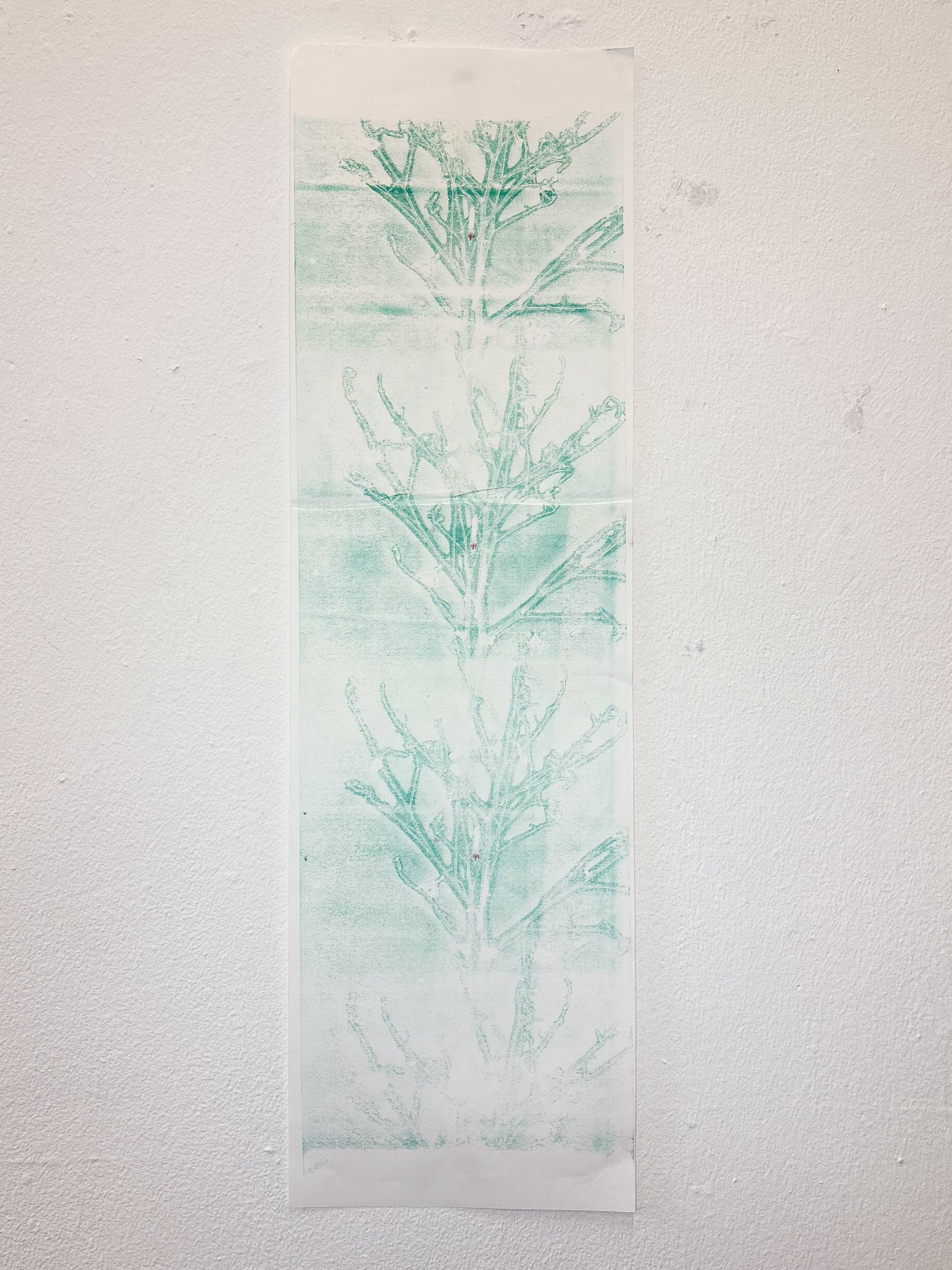 Zizania Radio Graft by Gabriella Tobler