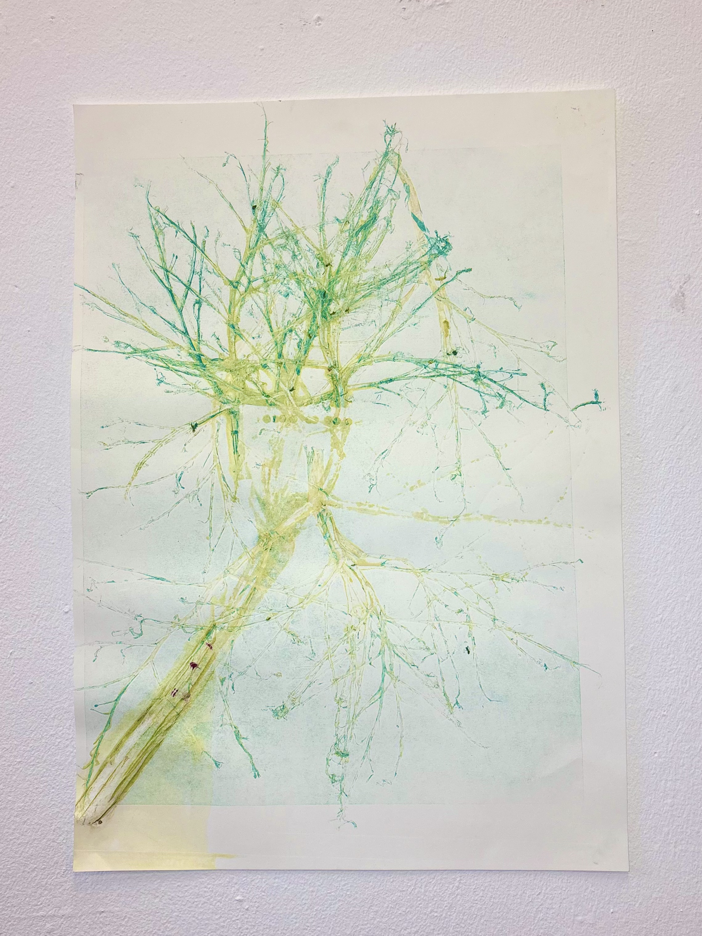 Fieldwork Organic Findings III by Gabriella Tobler